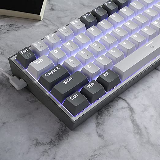REDRAGON K617 Fizz 60% Mechanical Wired Gaming Keyboard ( White / Grey ) ( Red Linear Switch )