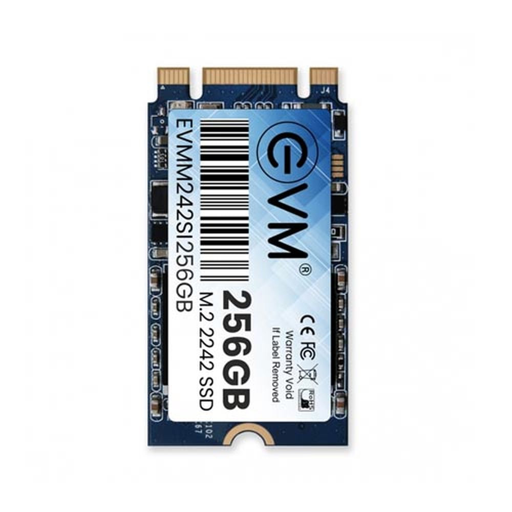 EVM 256GB M.2 SATA III Solid State Drive ( SSD )