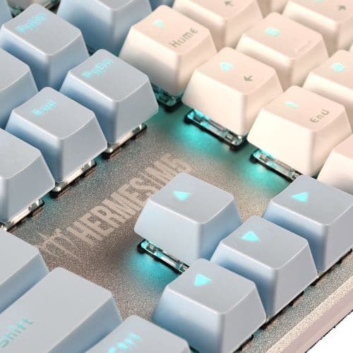 GAMDIAS Hermes M5 Full Size Mechanical Wired Gaming Keyboard ( Black ) ( Blue Clicky Switch )