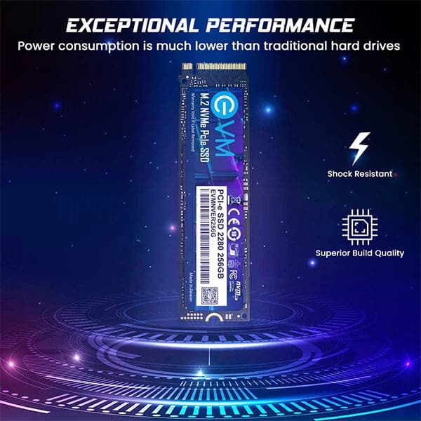 EVM 256GB M.2 NVMe Gen3 Solid State Drive (SSD)