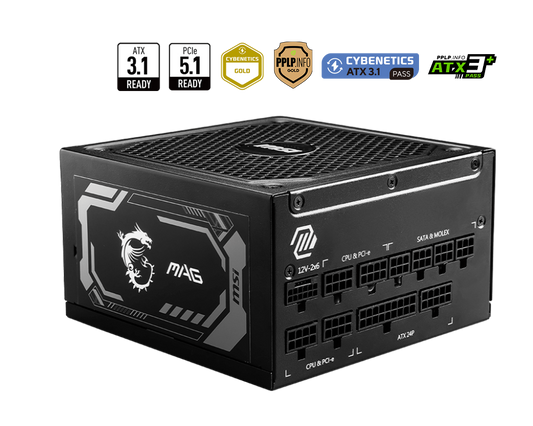 MSI 1250W A1250GL 80 PLUS GOLD FULLY MODULAR ATX 3.1 SMPS