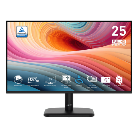 MSI Pro MP251L E2 25 Inch FHD 120Hz IPS Panel 99%SRGB 1MS Adaptive Sync Business Monitor