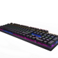 RAPOO V500PRO-87 TKL MECHANICAL GAMING KEYBOARD