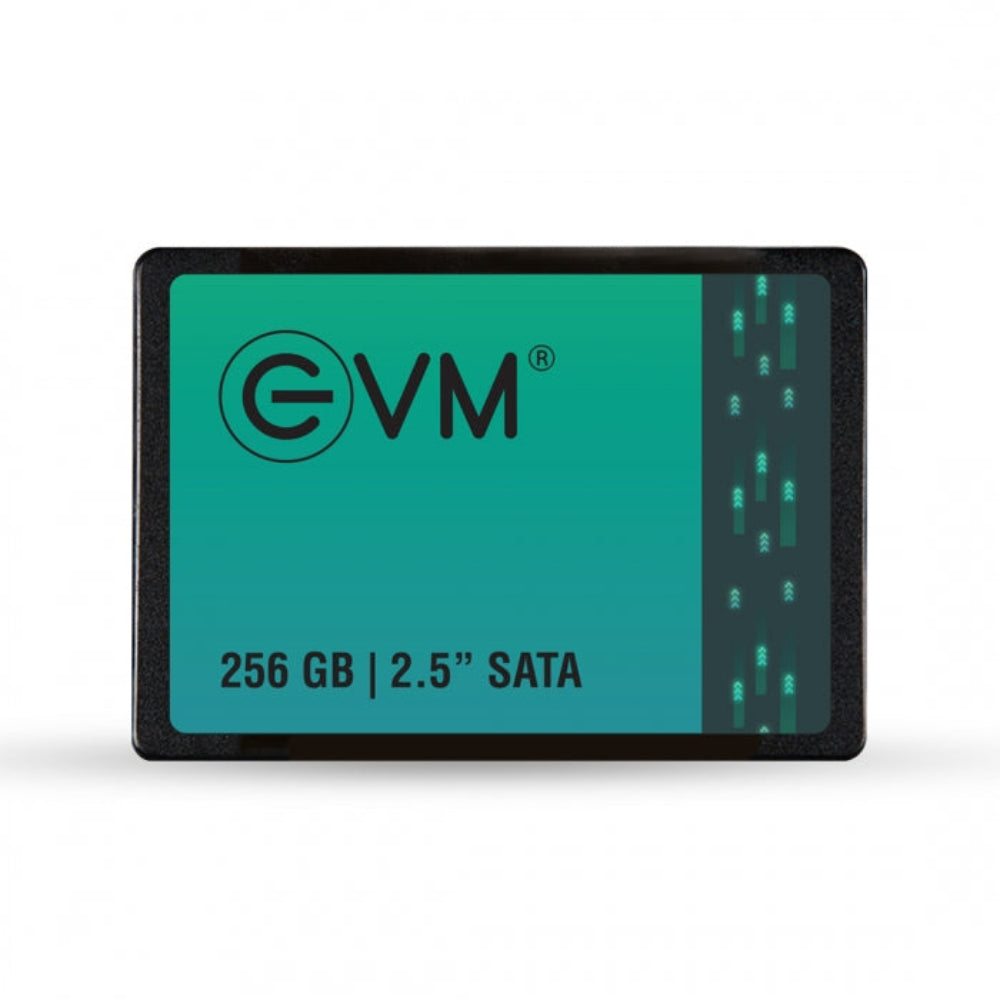 EVM 256GB 2.5 SATA SATA 3 Internal Solid State Drive (SSD)