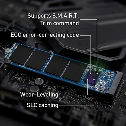 TEAMGROUP MP33 Pro 2TB M.2 NVME Gen3 Solid State Drive (SSD)