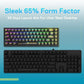 REDRAGON K631 Pro Castor 65% Mechanical Wired Gaming Keyboard ( Black ) ( Translucent Custom Switch )