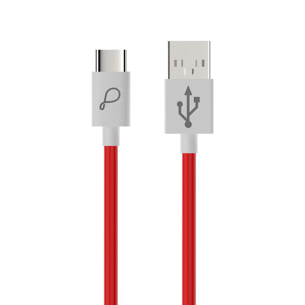 PWC101 Wall Charger