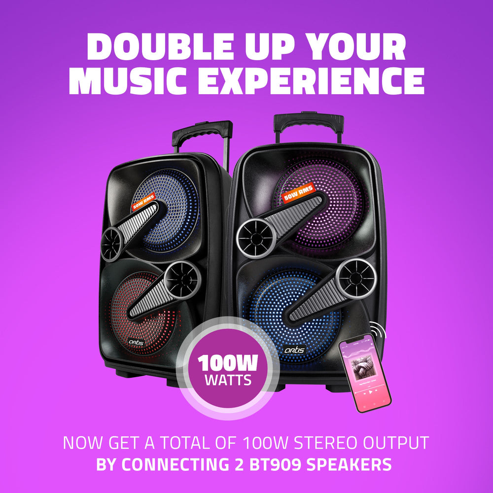 BT909 50W Wireless Bluetooth Party Speaker