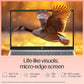 HP 15 FD0221TU [CI5-1334U 13TH GEN/16GB/512GB SSD/WIN11 HOME+MSO/15.6 INCH/INTEGRATED GRAPHICS /1 YEAR(S)/SILVER]