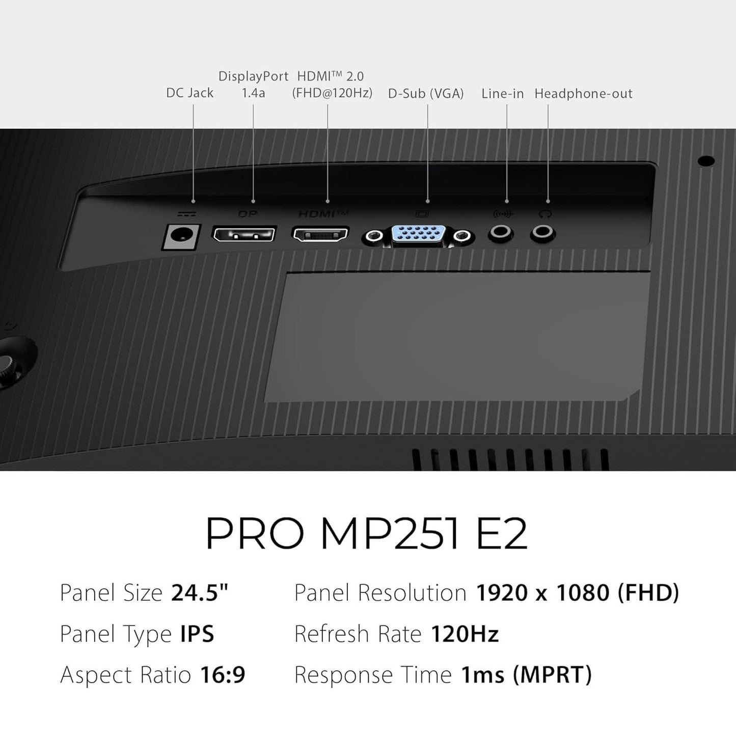 MSI PRO MP251 E2 24.5 Inch FHD, IPS Monitor