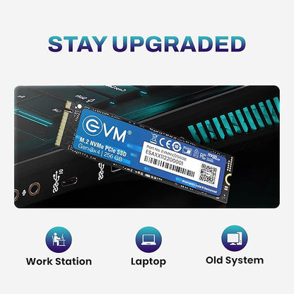 EVM 256GB NVME M.2 SSD EVMNV/256GB