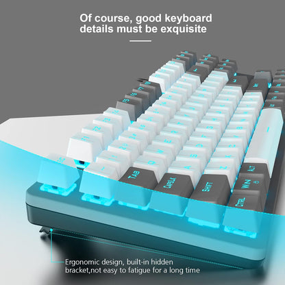 AULA F3287 WIRED MECHANICAL KEYBOARD GREY WHITE SWITCH