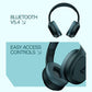 Boat Rockerz 421 Bluetooth Wireless Over Ear Headphone with Mic (Bold Blue)