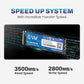 EVM 1TB NVME M.2 SSD EVMNV/1TB
