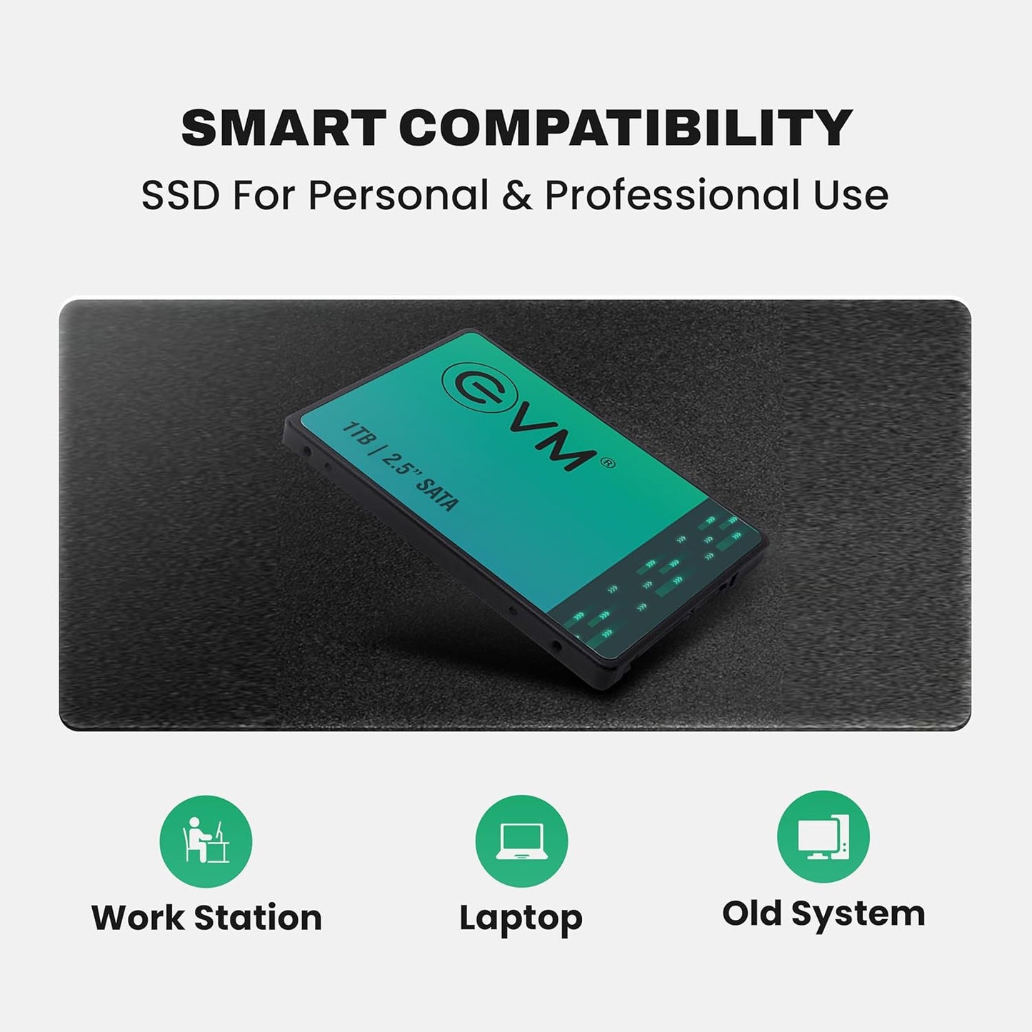 EVM 1TB INTERNAL SATA SSD EVM25/1TB