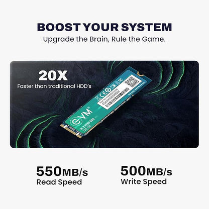 EVM 128GB INTERNAL SATA M.2 SSD EVMM2/128GB