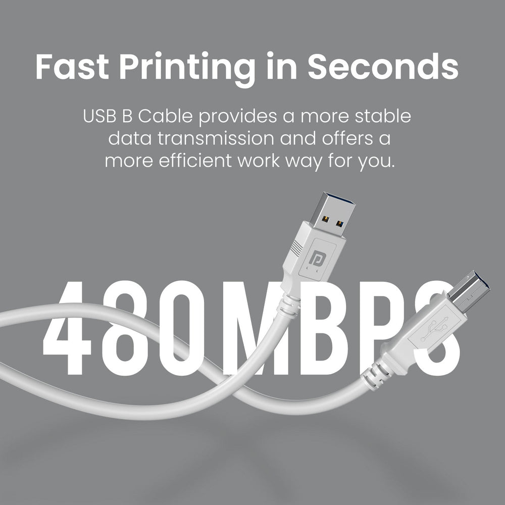 Printlink 5 - USB A To USB B For Printer 5M Cable