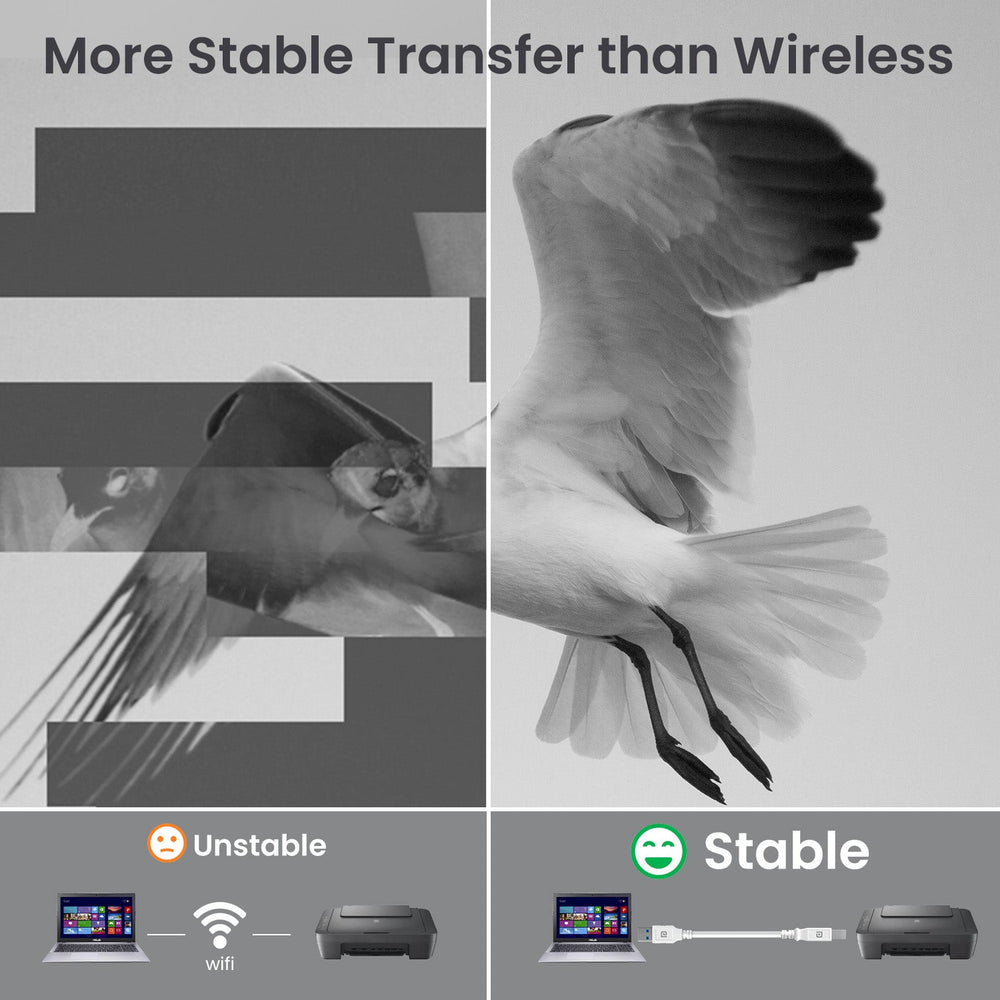 Printlink 5 - USB A To USB B For Printer 5M Cable