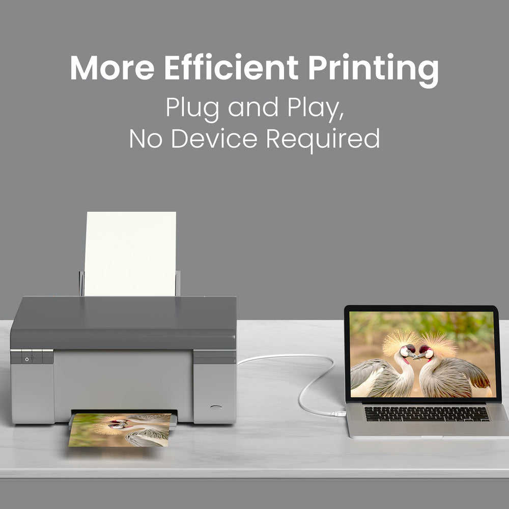 Printlink 5 - USB A To USB B For Printer 5M Cable