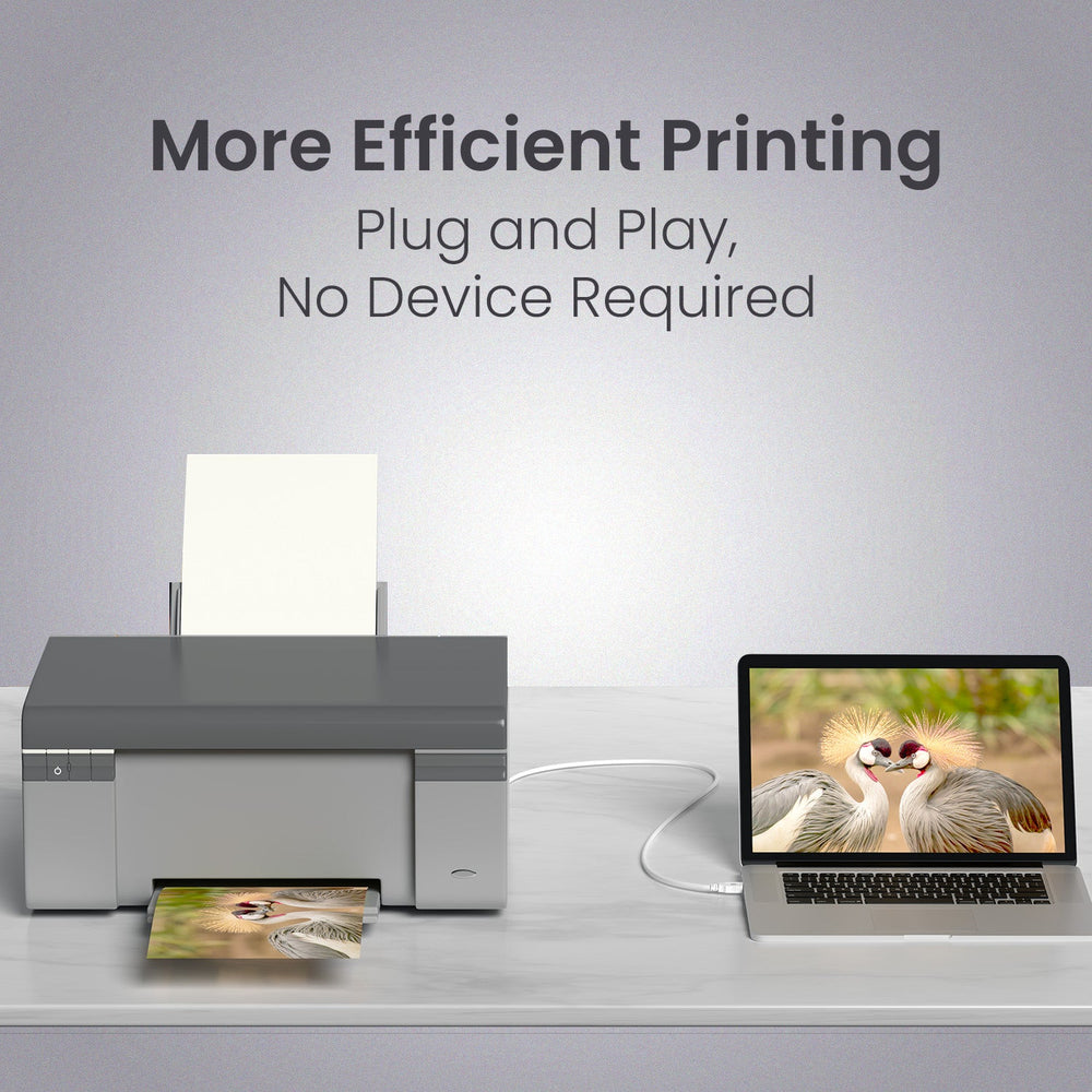 Printlink 1.5 - USB A To USB B For Printer 1.5M Cable