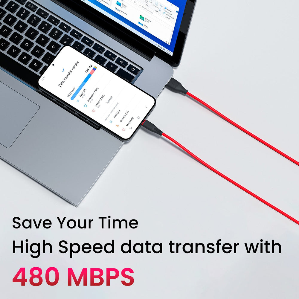 Silklink 3A USB to Type C Cable