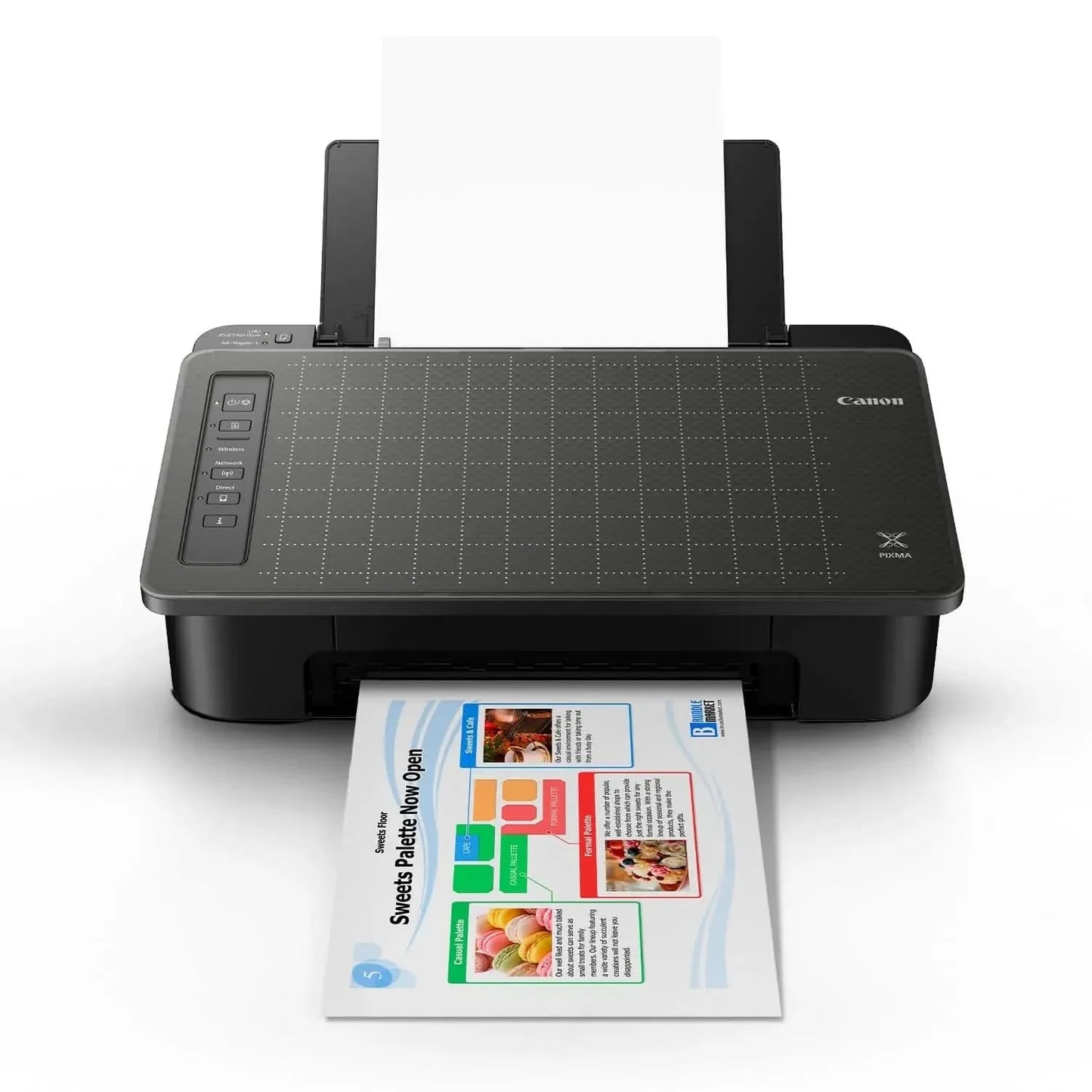 Canon Pixma TS307a Single Function Wireless Inkjet Colour Printer (Black), Standard