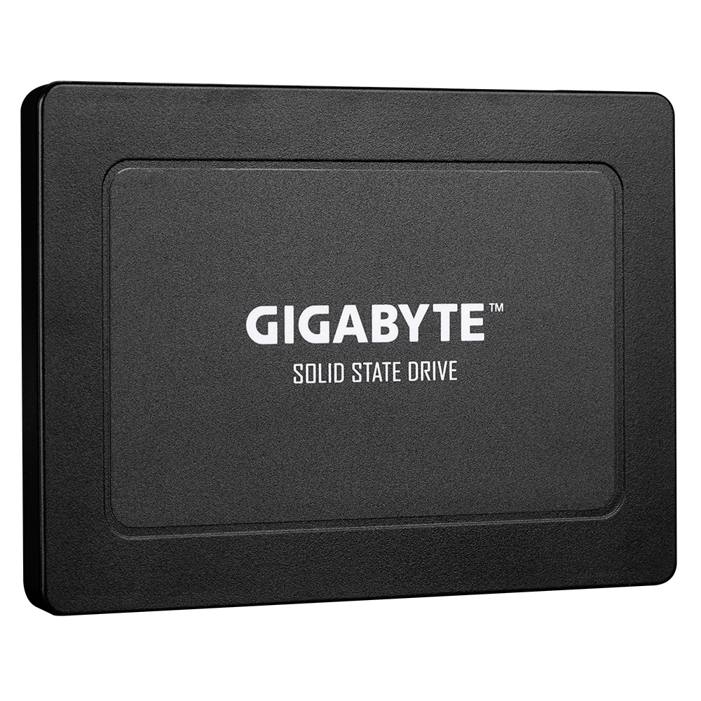 Gigabyte 240GB SATA Internal Solid State Drive GP-GSTFS31240GNTD