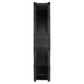 ARCTIC P12 MAX (BLACK) ACFAN00280A