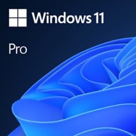 MICROSOFT WIN PRO FPP 11 P2 32-BIT/64-BIT ENG INTL USB (BOX PACK) USB MEDIA