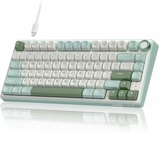 ROYAL KLUDGE RK R75 75% Wired Mechanical Gaming Keyboard ( Skycyan ) ( Brown Switch )