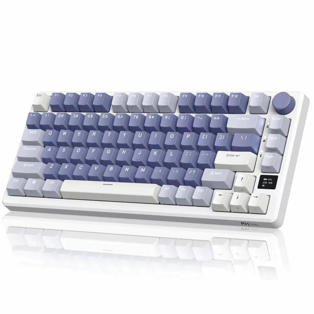 ROYAL KLUDGE RK M75 75% RGB Mechanical Wireless Gaming Keyboard ( Blue ) ( Tactile Brown Switch )