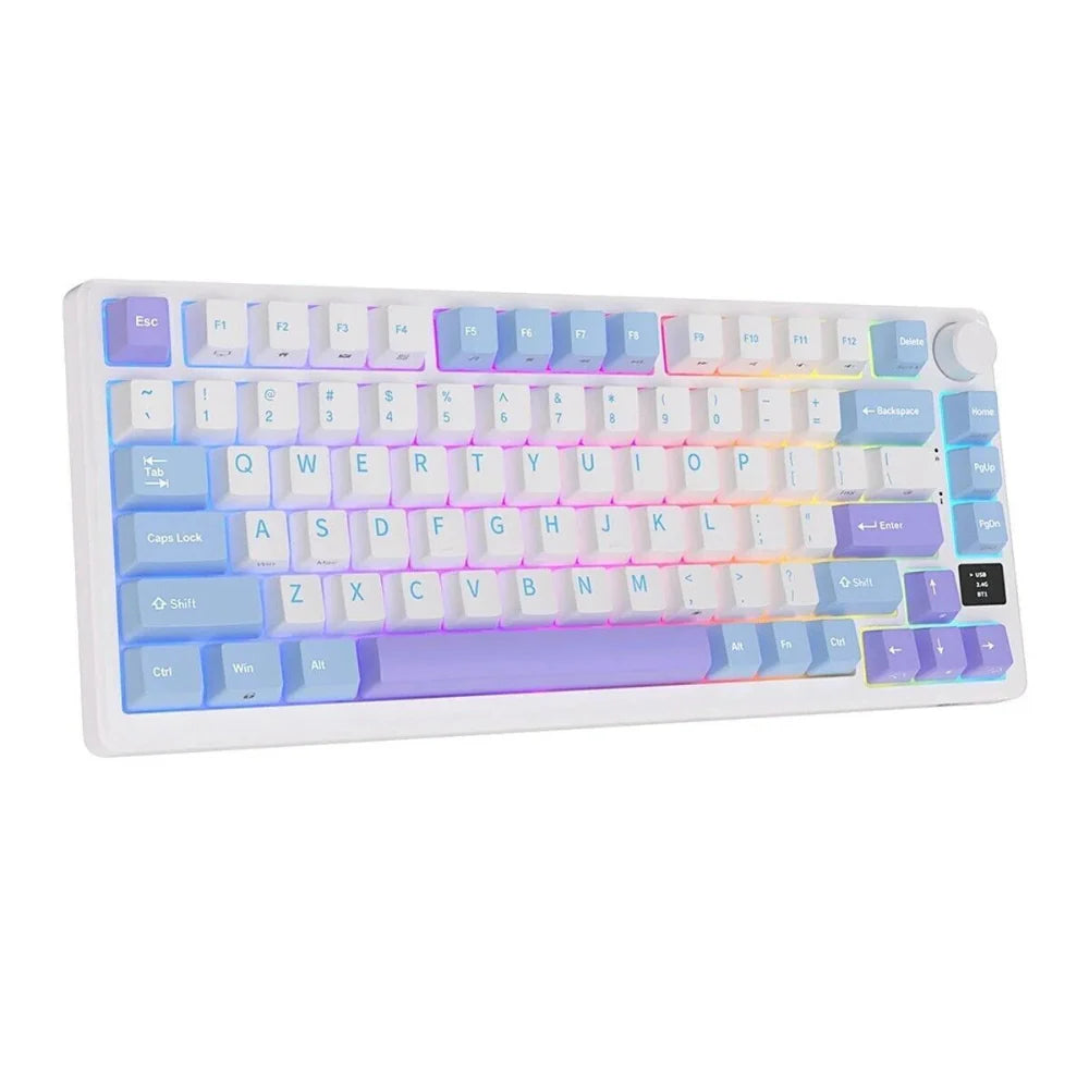 ROYAL KLUDGE RK M75 75% RGB Mechanical Wireless Gaming Keyboard ( Taro Milk ) ( Clicky Blue Switch )