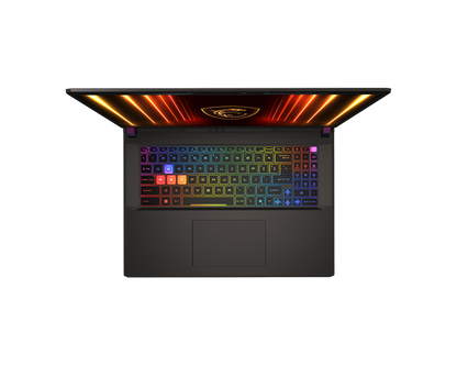 MSI Vector 17, Intel Series 2 Core Ultra 9 275HX, 43cm QHD+ 240Hz Gaming Laptop (32GB/2TB NVMe SSD/Windows 11 Home/NVIDIA GeForce RTX 5070 Ti, GDDR7 12GB/Cosmos Gray/3Kg) A2XWHG-206IN
