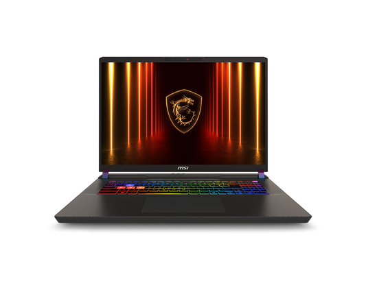 MSI Vector 17, Intel Series 2 Core Ultra 9 275HX, 43cm QHD+ 240Hz Gaming Laptop (32GB/2TB NVMe SSD/Windows 11 Home/NVIDIA GeForce RTX 5070 Ti, GDDR7 12GB/Cosmos Gray/3Kg) A2XWHG-206IN