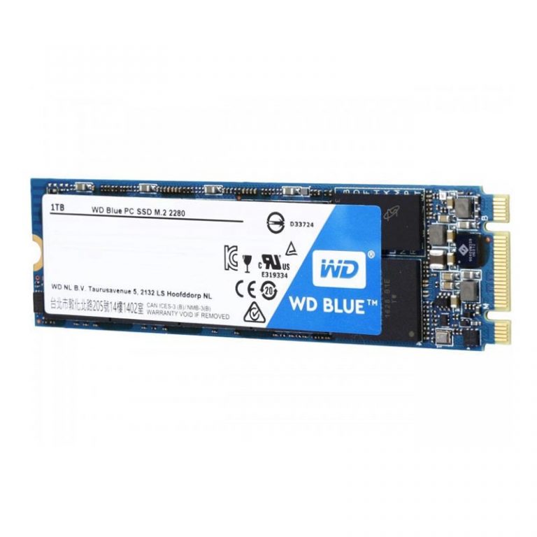 WESTERN DIGITAL Blue 1TB M.2 SATA SATA 3 Solid State Drive ( SSD )