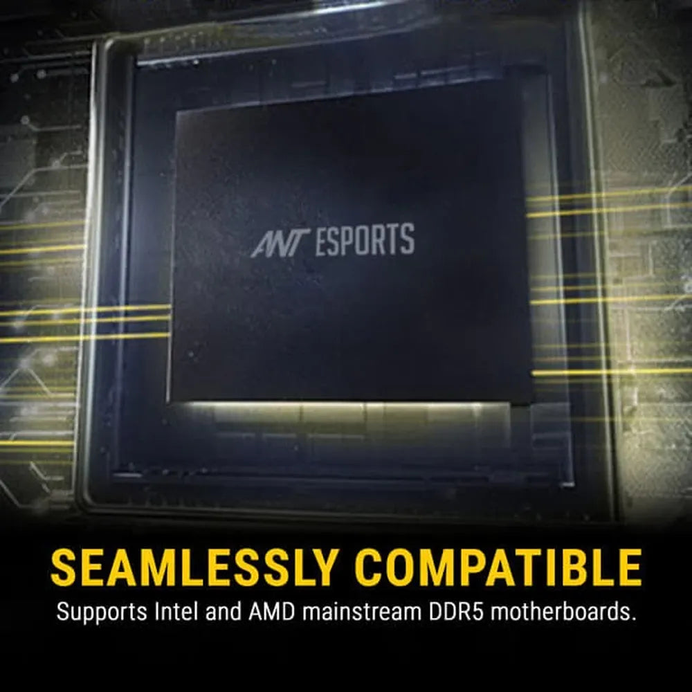 ANT ESPORTS 690 Neo FP 32GB (32GB x 1) 5200MHz DDR5 RAM (Black) ( CL42 )