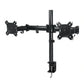 ARCTIC Z2 Basic Dual Arm Monitor Desk Mount (Black)