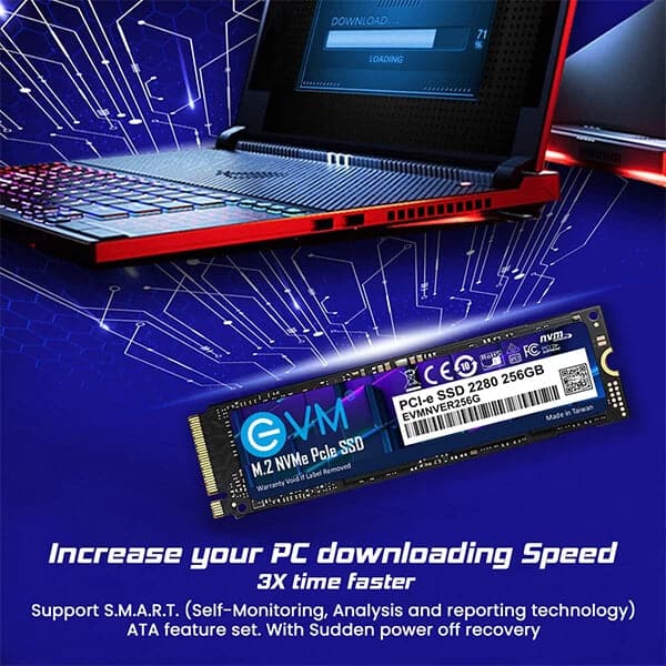 EVM 256GB M.2 NVMe Gen3 Solid State Drive (SSD)