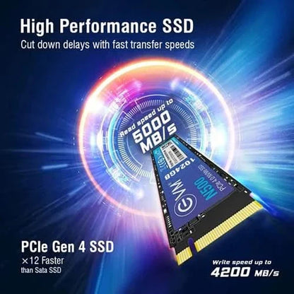 EVM N500 1024GB NVMe Gen4 SSD EVMNV500/1024GB