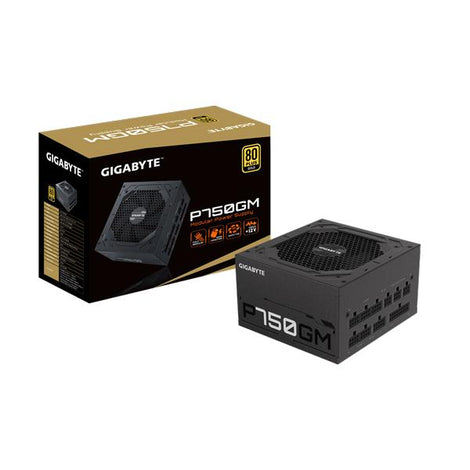 GIGABYTE P750GM 750W 80+ Gold Fully Modular ATX 2.0 Power Supply