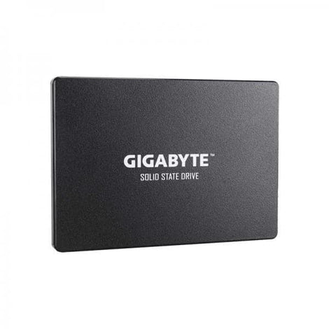 GIGABYTE 256GB 2.5 SATA SATA 3 Inernal Solid State Drive (SSD)