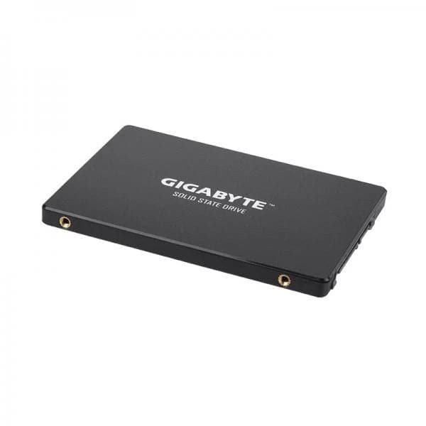 GIGABYTE 256GB 2.5 SATA SATA 3 Inernal Solid State Drive (SSD)
