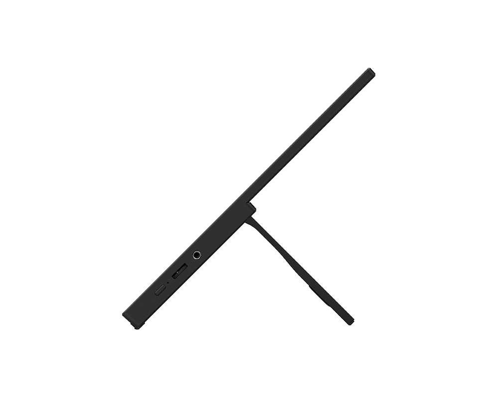 MSI PRO MP165 E6 15.6 Inch FHD IPS Panel Pro Monitor