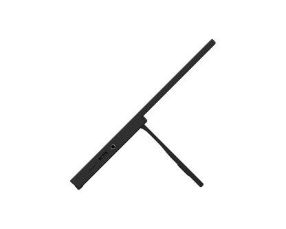 MSI PRO MP165 E6 15.6 Inch FHD IPS Panel Pro Monitor