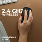 MOUSE ZEBRONICS WIRELESS (CURVE)